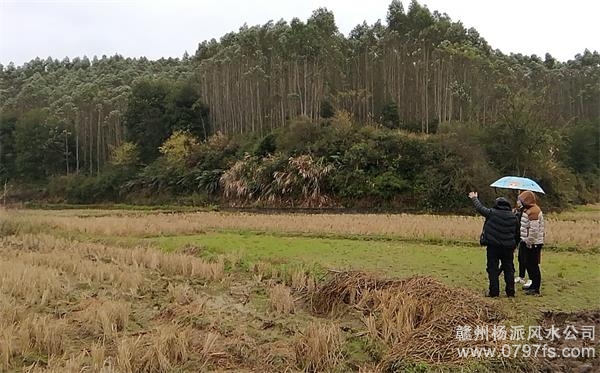 杭州市陈老师带着爱徒寻龙点穴